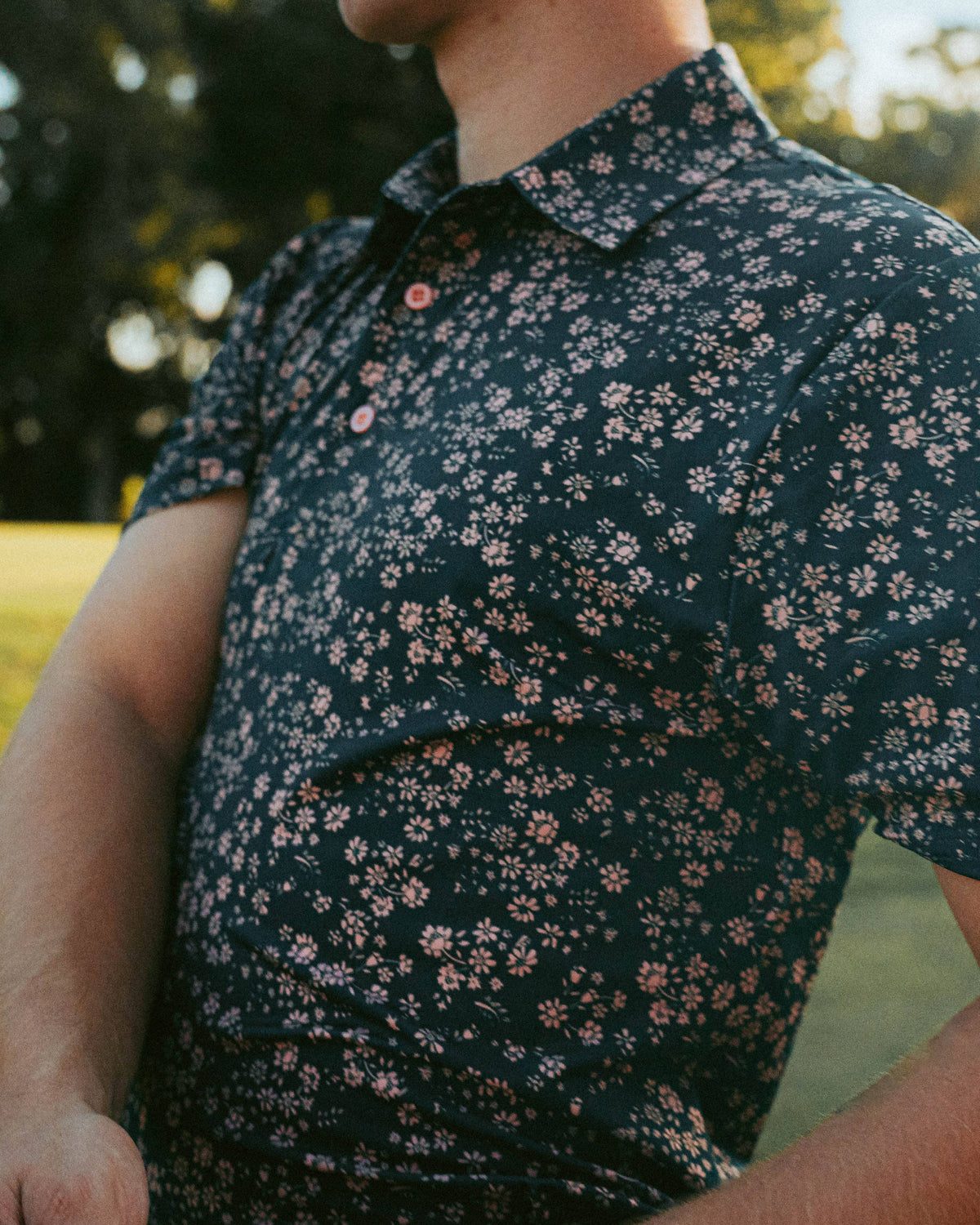 The Dandelion - Polo