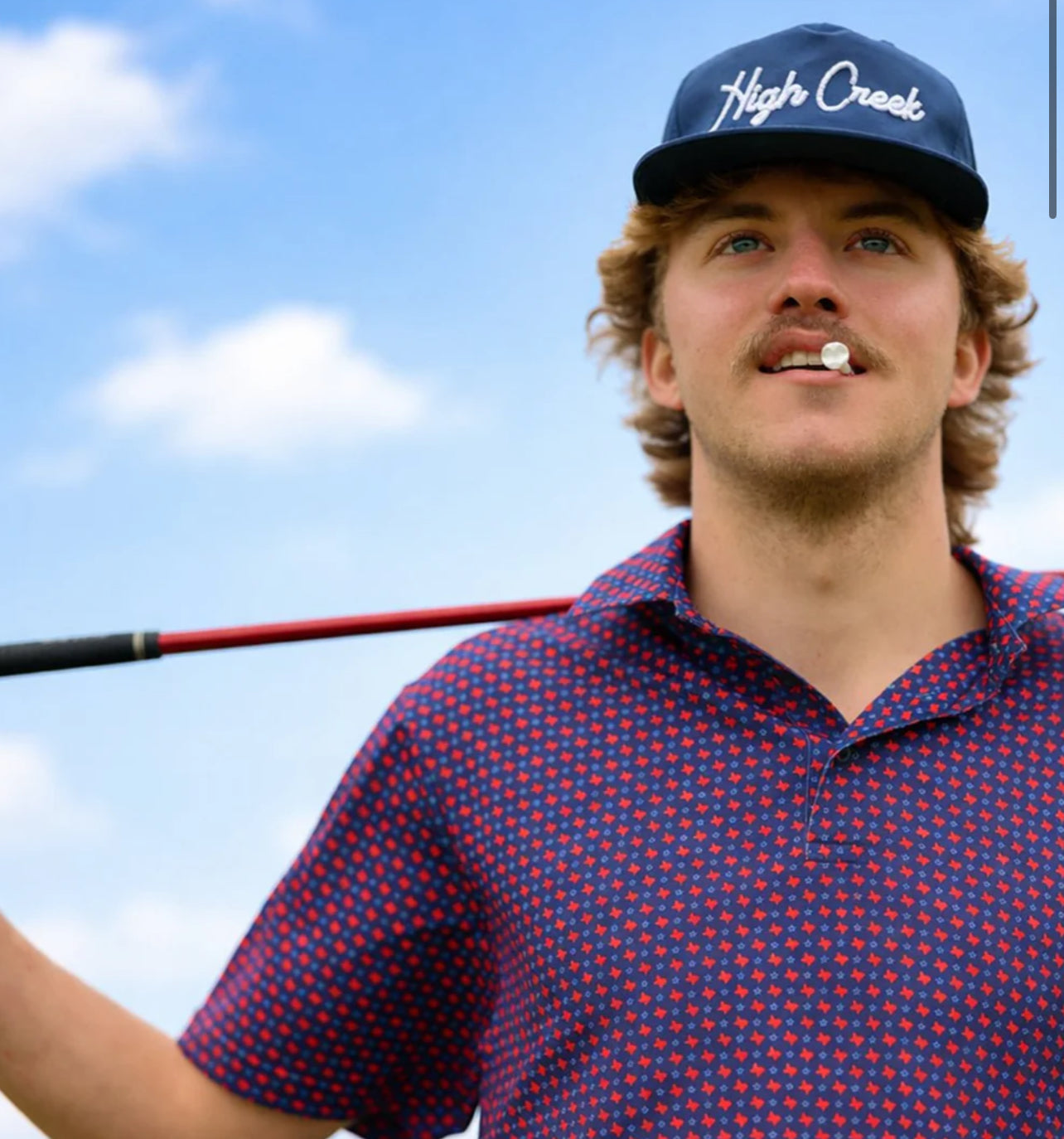 The Alamo Polo