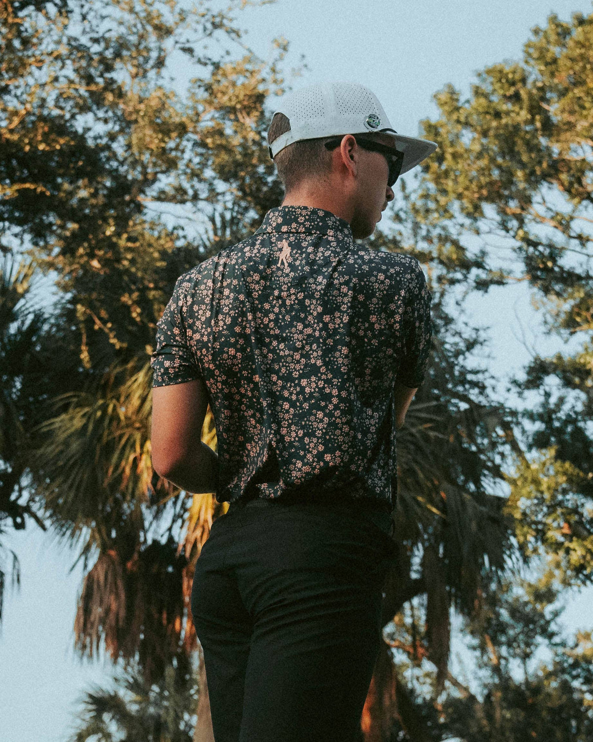 The Dandelion - Polo