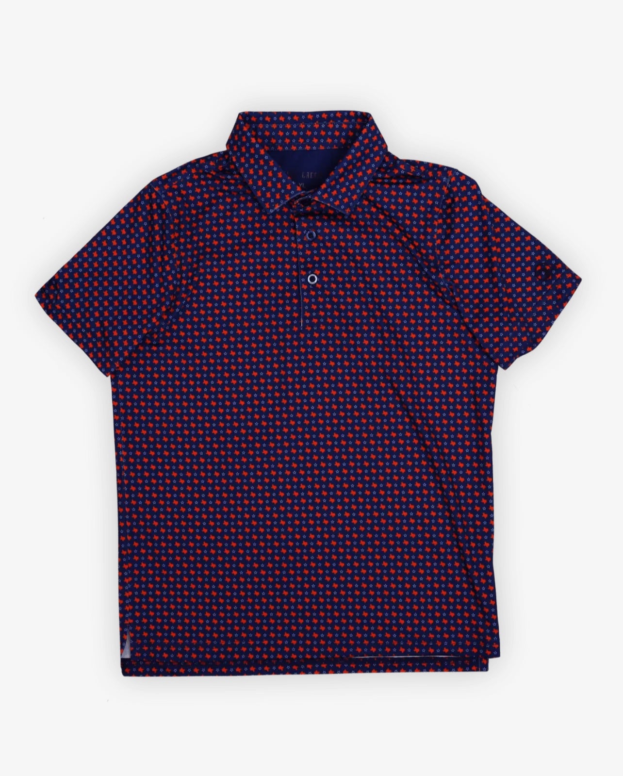 Youth-The Alamo Polo